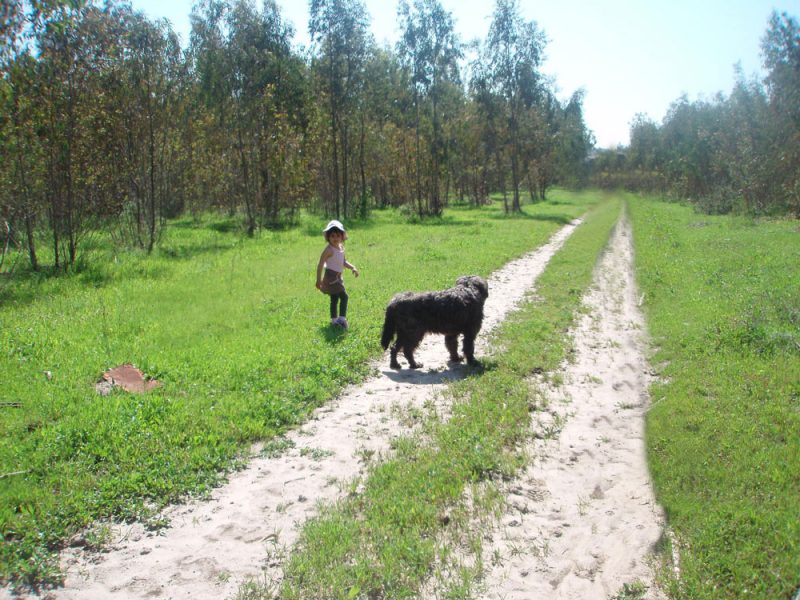 אחו בנימינה. צילום: דנה יקותיאלי צור