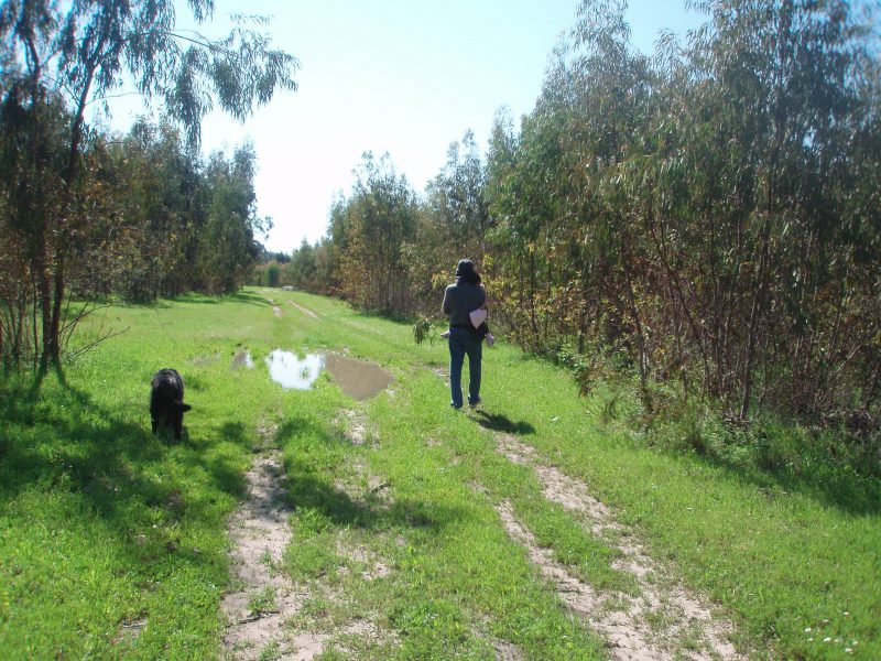 אחו בנימינה. צילום: דנה יקותיאלי צור